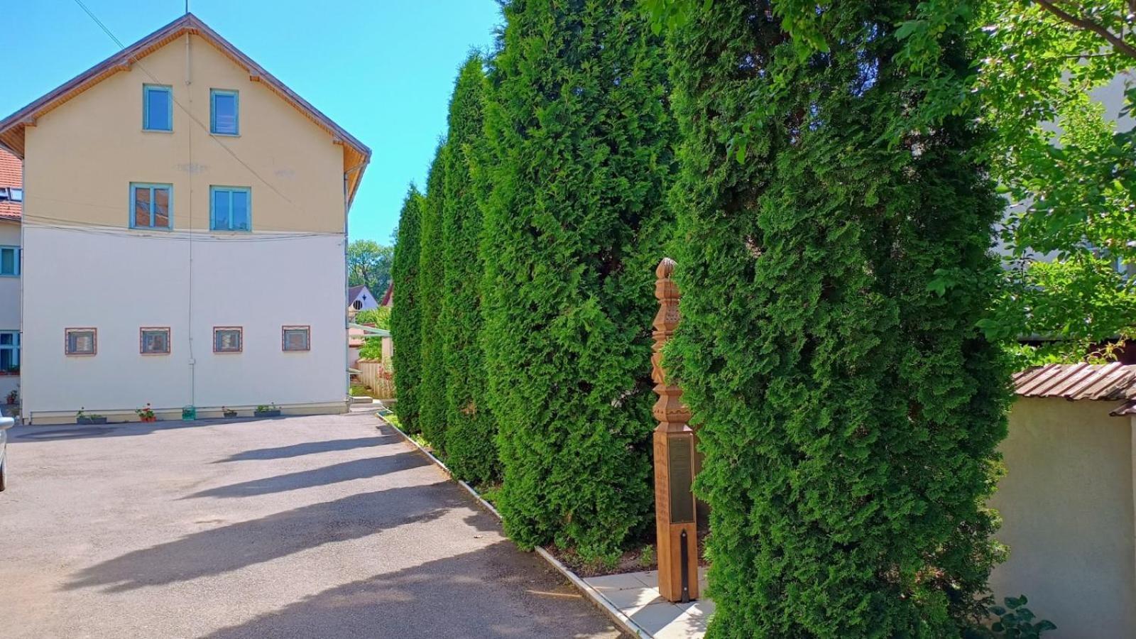 Centrul Gaudeamus Hostel Sighisoara Exterior photo